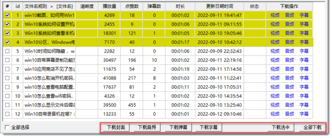 摸鱼神器&SlackOffTool与闪豆视频下载器-第5张图片-IT技术视界
