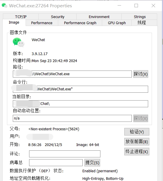 ProcessExplorer 多功能任务管理器软件-中文绿色单文件版-第5张图片-IT技术视界