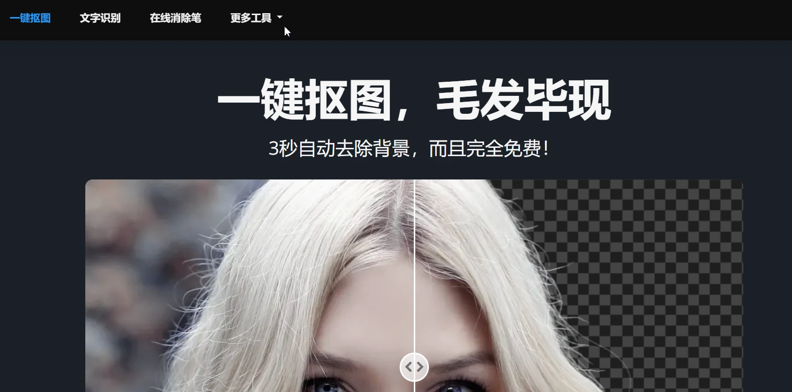 全自动去除照片背景的在线工具，更有15个强大功能！-第1张图片-IT技术视界