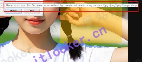 HitPaw去水印工具破解版下载-永久使用/一键清除图片视频水印/全格式支持-第5张图片-IT技术视界