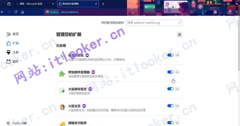 Firefox火狐浏览器绿色便携版下载｜2024最新优化版｜隐私保护+极速性能-第1张图片-IT技术视界