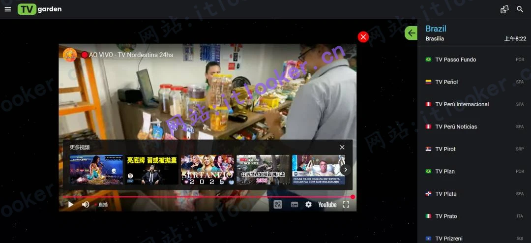 TV在线网站合集分享（部分网站需要魔法才能访问）-第2张图片-IT技术视界