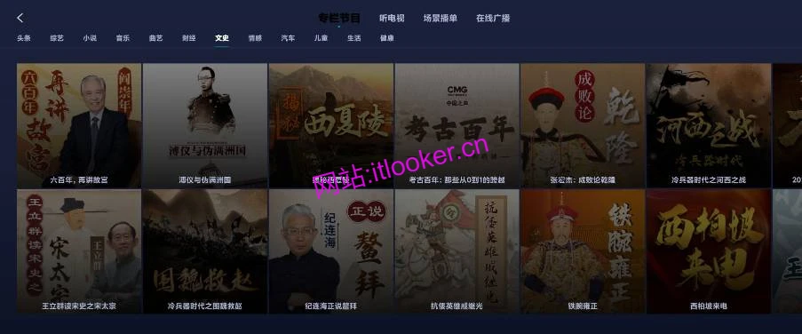 云听车机免费版，最后一个免费的云听版本！-第3张图片-IT技术视界