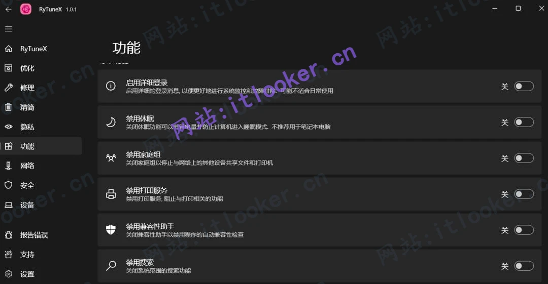 RyTuneX：开源系统优化工具中文版，提升电脑运行效率-第7张图片-IT技术视界