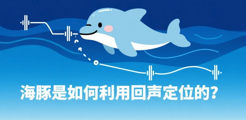 海豚是如何利用回声定位的？——从 IT 技术视角看自然界的“声呐系统”-第2张图片-IT技术视界