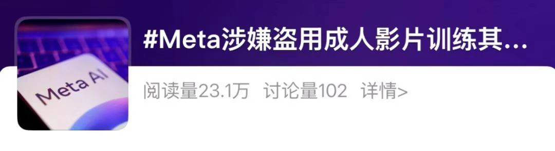 偷2396部黄片训练AI ，Meta摊上大事了，面临25.79亿天价罚单！-第1张图片-IT技术视界