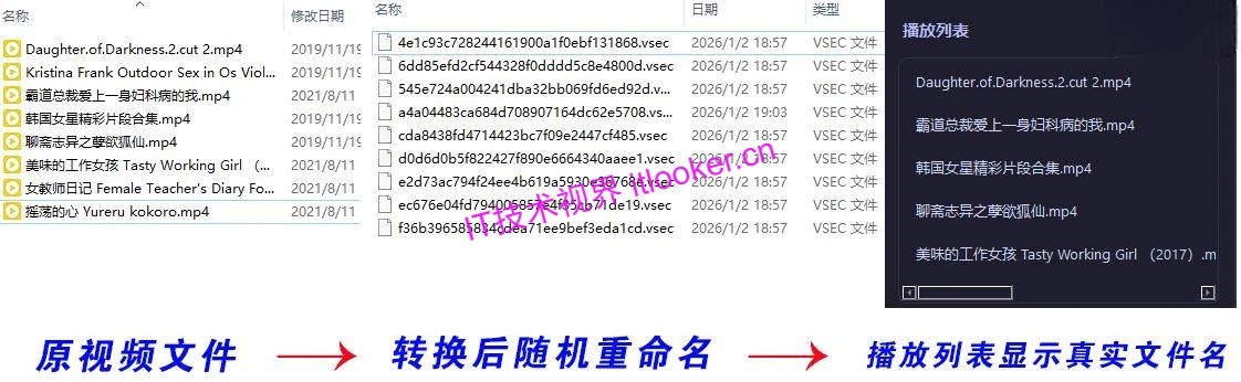 SecureVault Player：视频加密存储与安全播放工具-第4张图片-IT技术视界